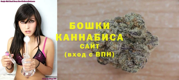 гидропоника Горно-Алтайск