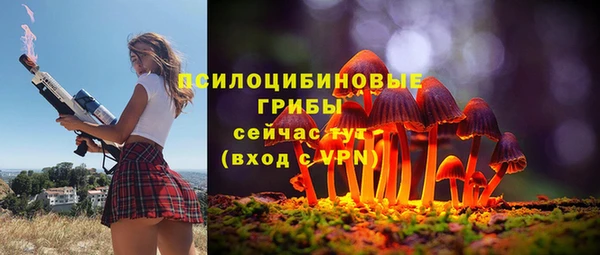 скорость Горнозаводск