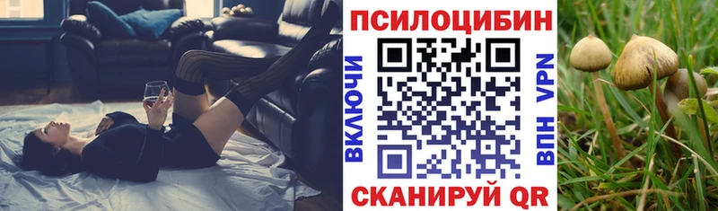 Псилоцибиновые грибы мухоморы  магазин продажи   Дмитров 